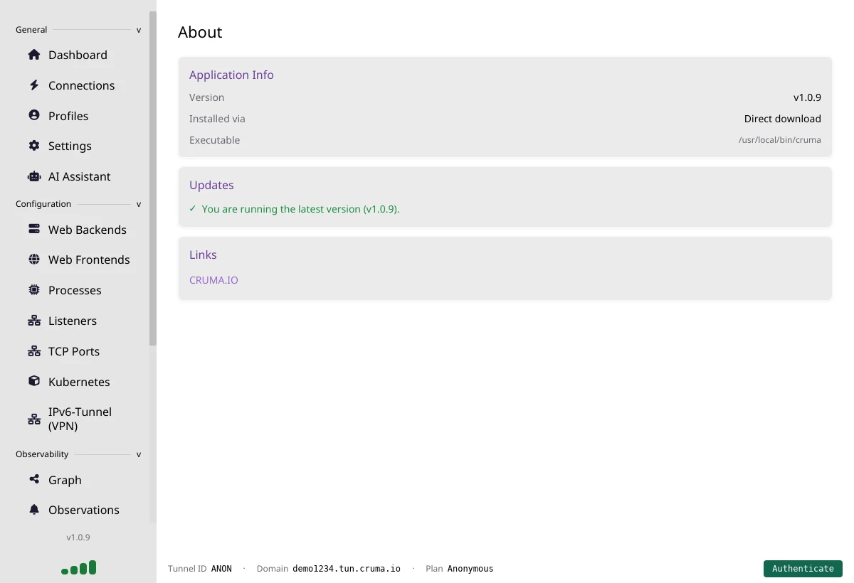 The About page showing version, install method, executable path, and an up-to-date message