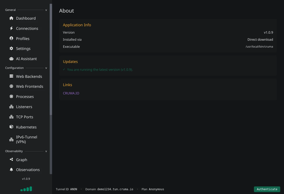 The About page showing version, install method, executable path, and an up-to-date message