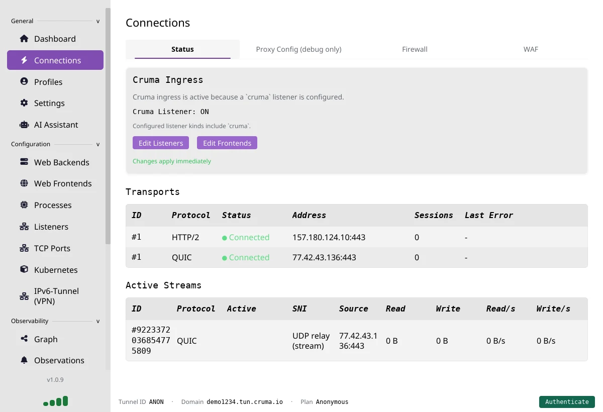 The Connections page, Status tab, showing Cruma Ingress active and two connected transports, HTTP/2 and QUIC