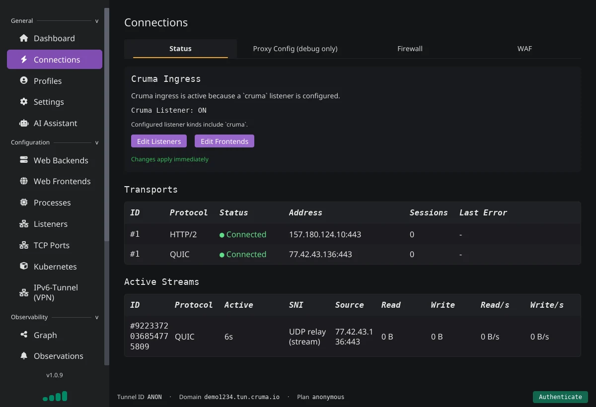 The Connections page, Status tab, showing Cruma Ingress active and two connected transports, HTTP/2 and QUIC