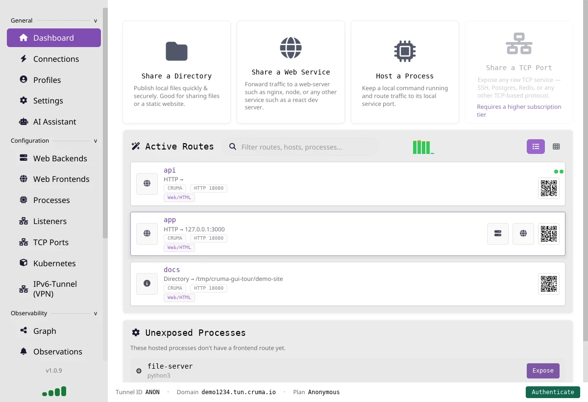 The Dashboard with guided-setup cards, three active routes named api, app and docs, and an unexposed process called file-server