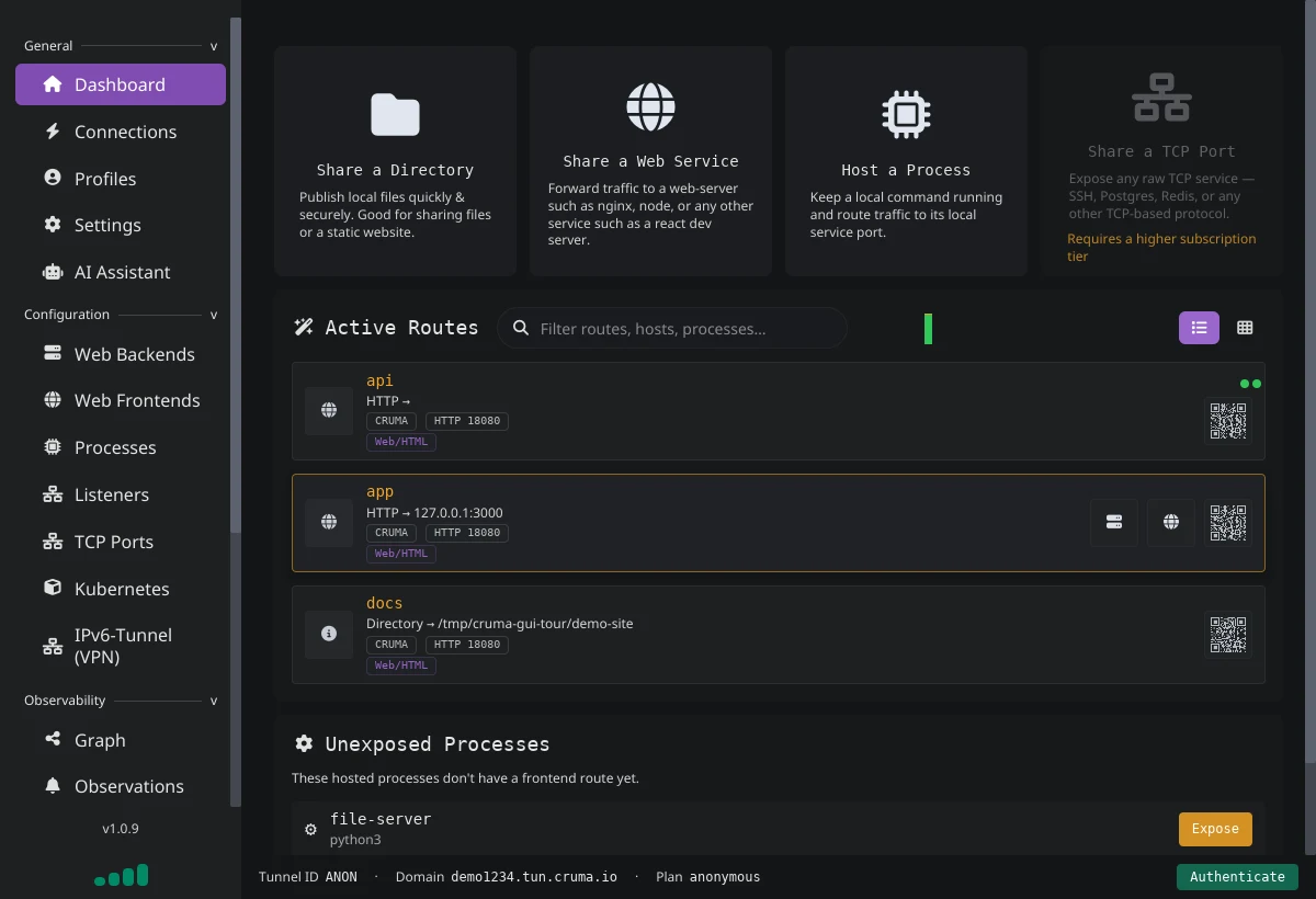 The Dashboard with guided-setup cards, three active routes named api, app and docs, and an unexposed process called file-server
