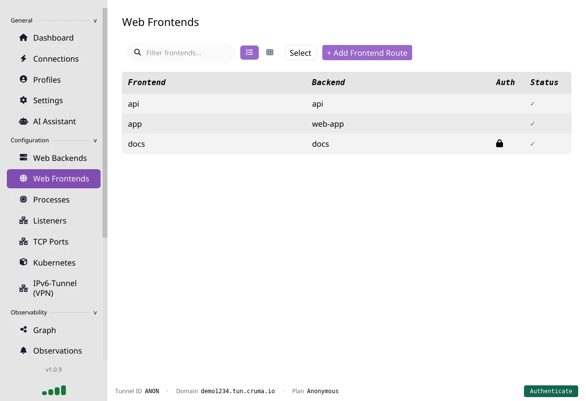 The Web Frontends page listing frontends api, app and docs with their backends, a lock icon on docs, and status ticks