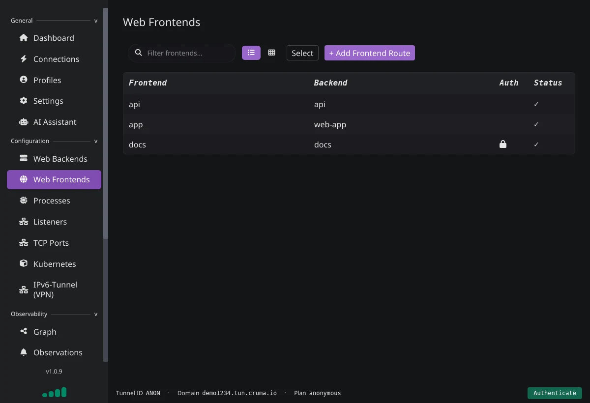 The Web Frontends page listing frontends api, app and docs with their backends, a lock icon on docs, and status ticks