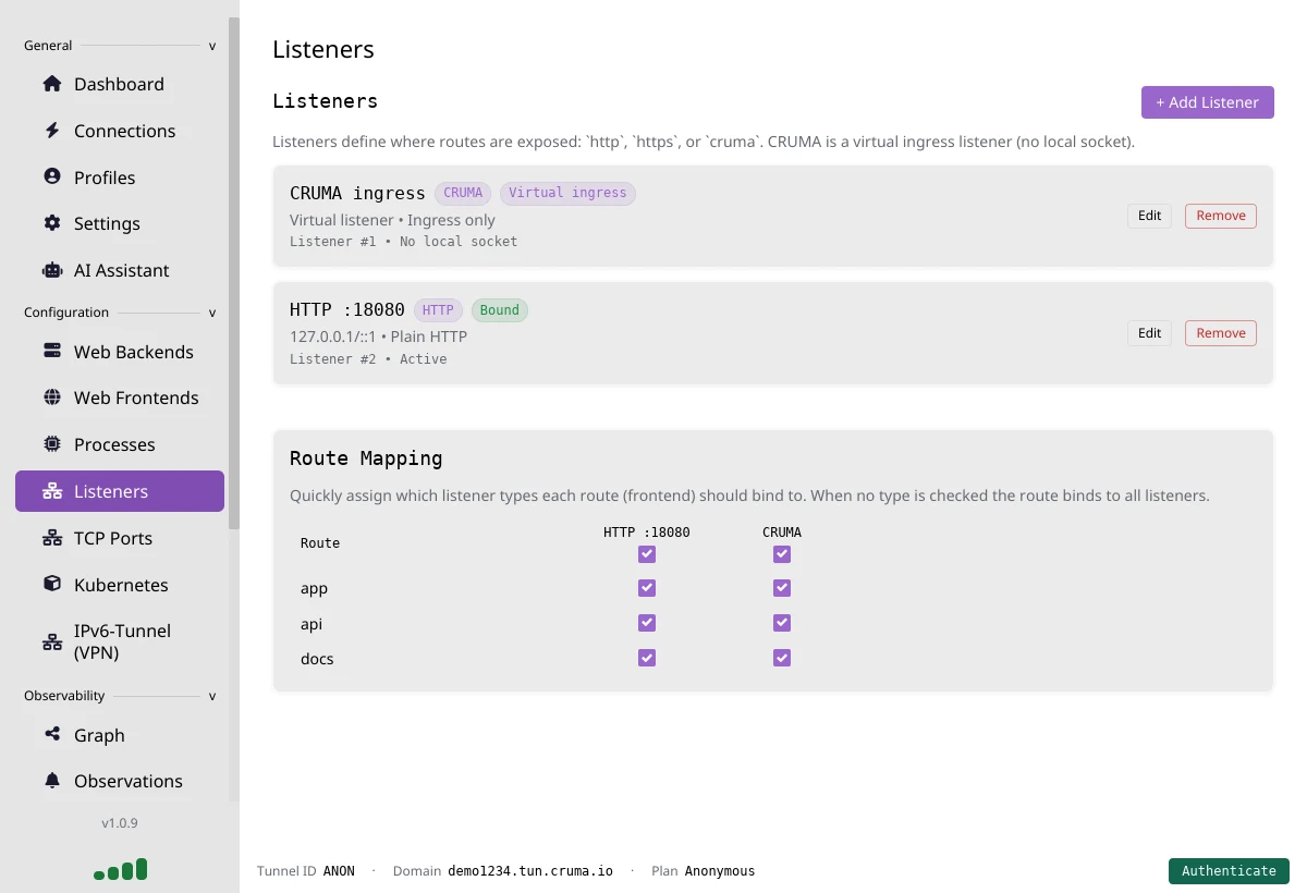 The Listeners page showing a CRUMA ingress virtual listener, an HTTP listener on port 18080 marked Bound, and a Route Mapping table