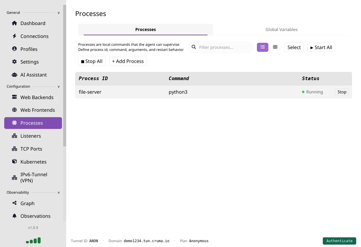 The Processes page with one running process called file-server that runs python3, plus Stop All, Start All and Add Process buttons