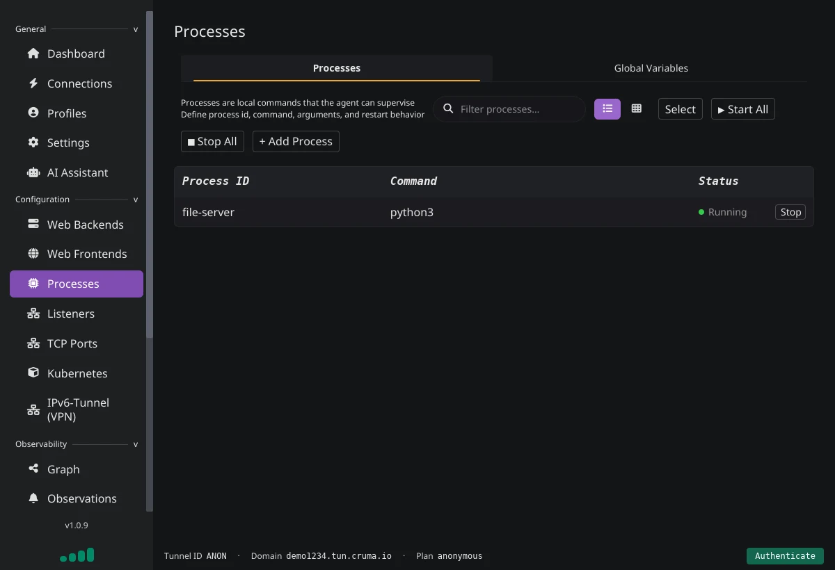 The Processes page with one running process called file-server that runs python3, plus Stop All, Start All and Add Process buttons