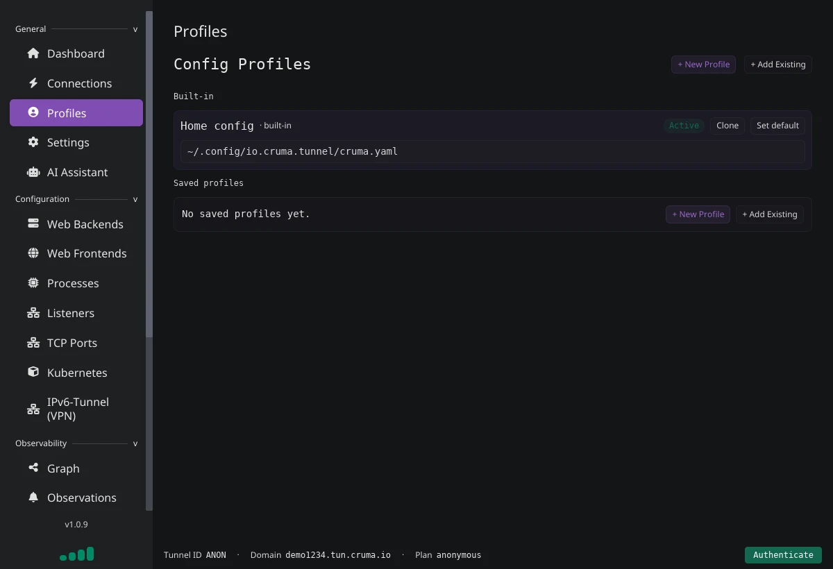 The Profiles page with a built-in Home config marked Active and no saved profiles