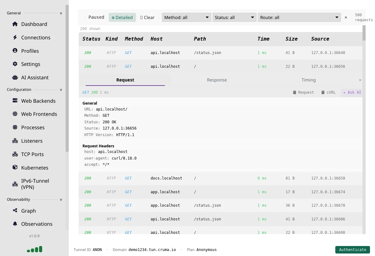 The Requests page with a list of HTTP requests and one expanded to show Request, Response and Timing tabs and buttons for Request, cURL and Ask AI