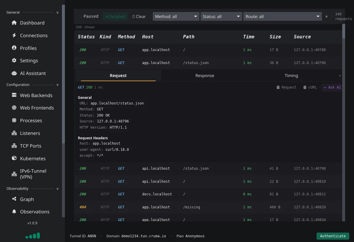The Requests page with a list of HTTP requests and one expanded to show Request, Response and Timing tabs and buttons for Request, cURL and Ask AI