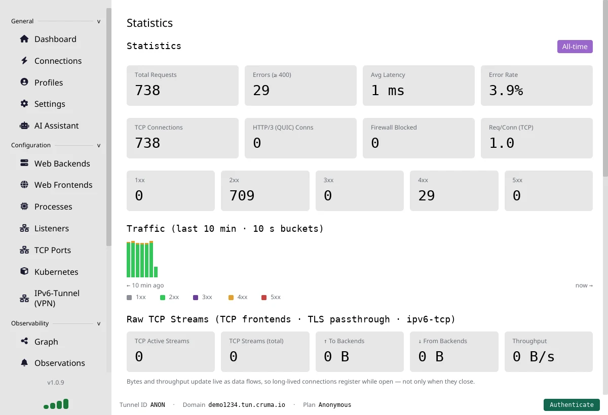 The Statistics page with tiles for total requests, errors, average latency and error rate, status code counts, and a traffic chart