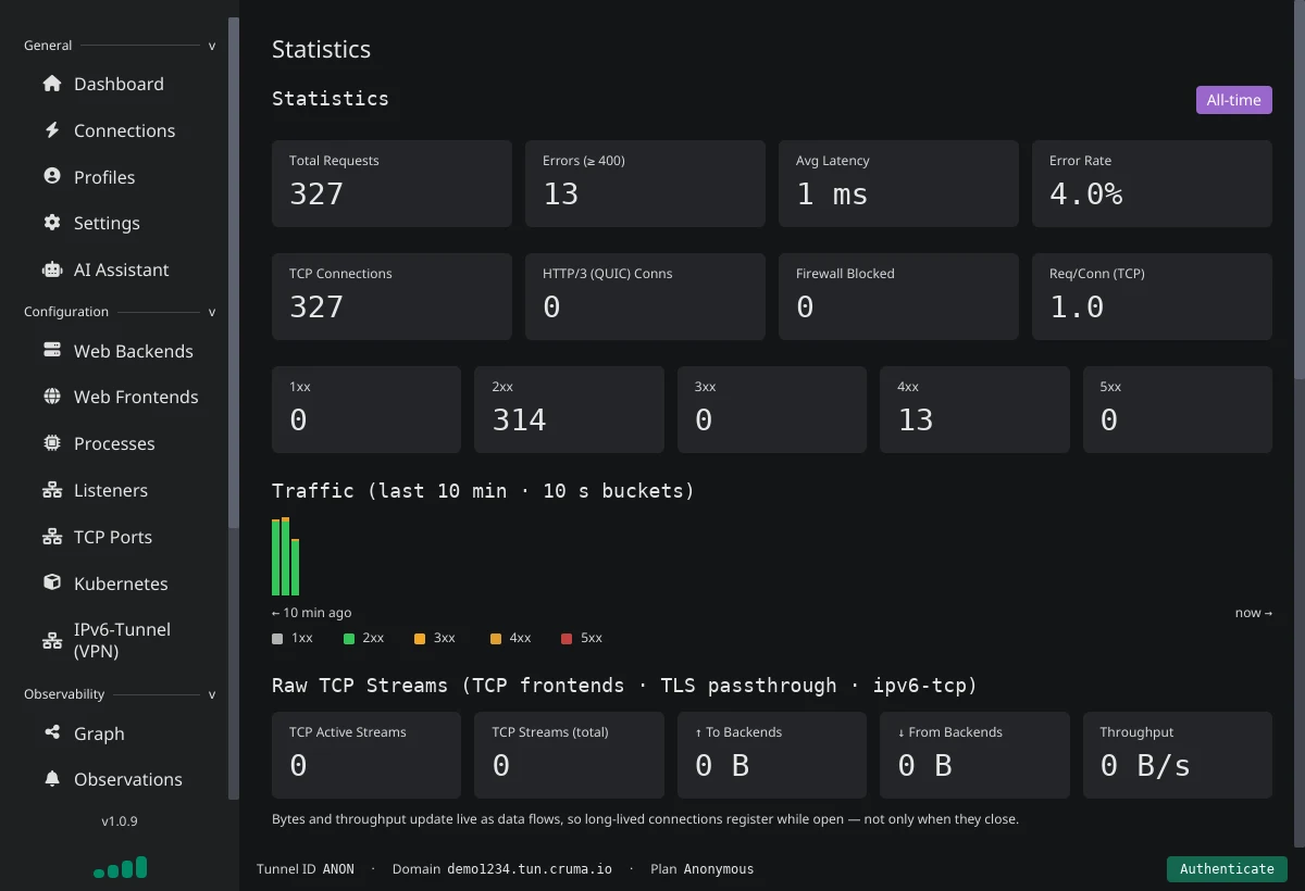 The Statistics page with tiles for total requests, errors, average latency and error rate, status code counts, and a traffic chart