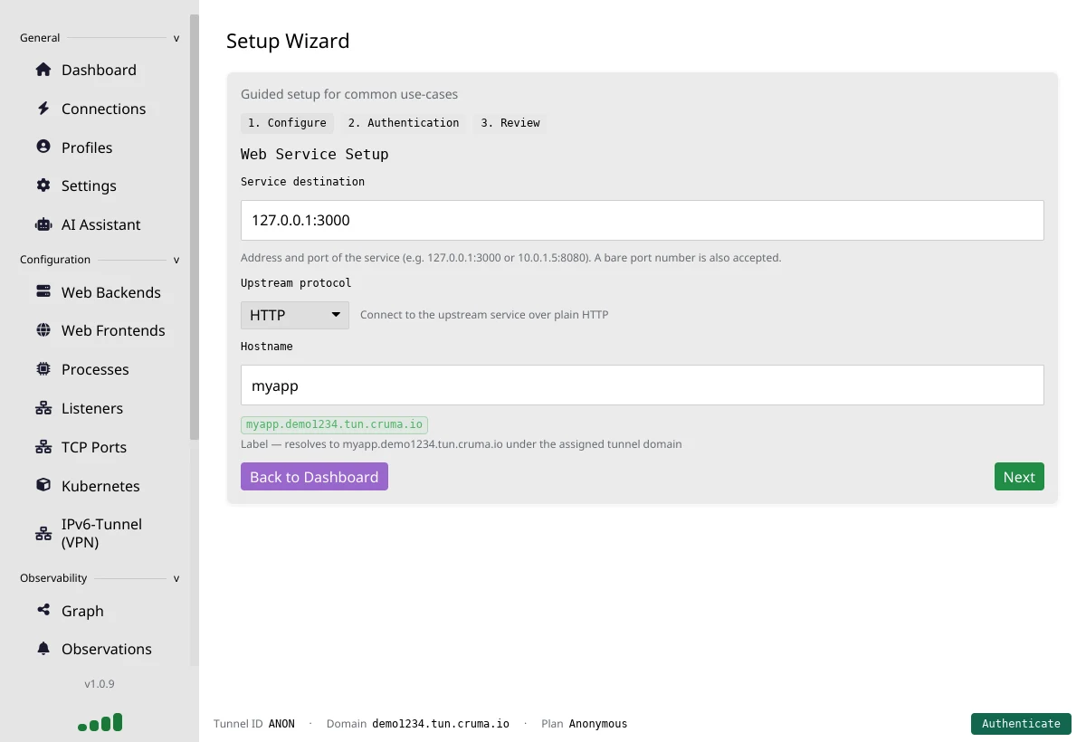 The desktop app's Setup Wizard, where you enter your service address and a hostname