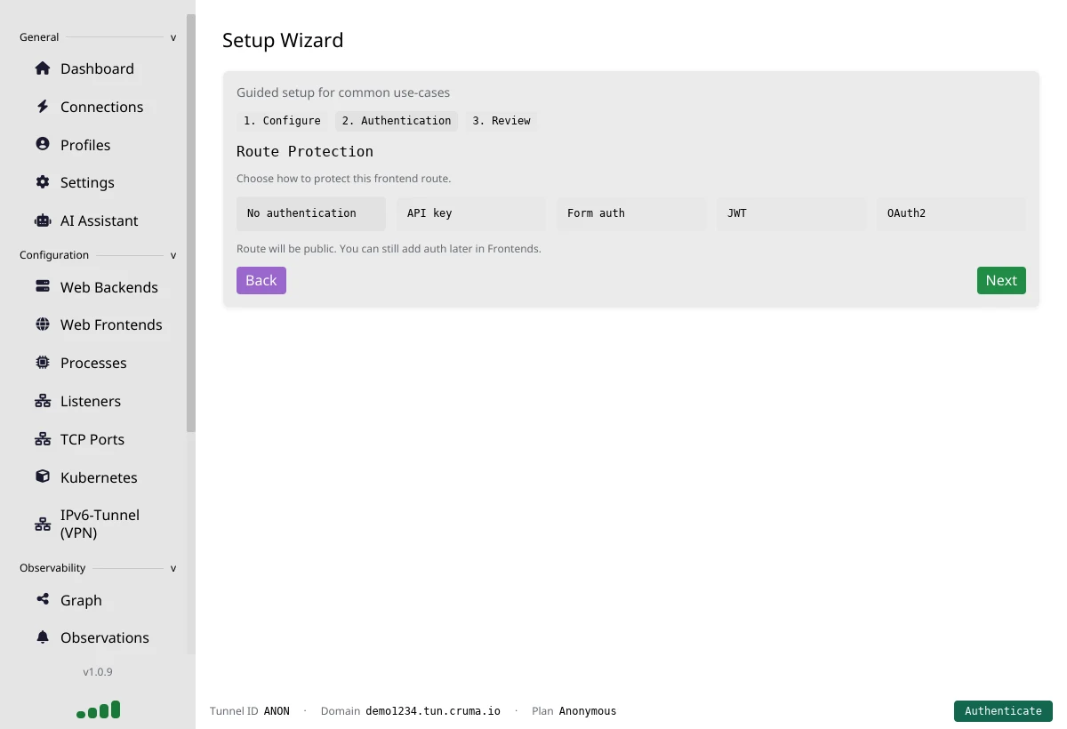 Setup Wizard, step 2 Authentication: choose No authentication, API key, Form auth, JWT or OAuth2