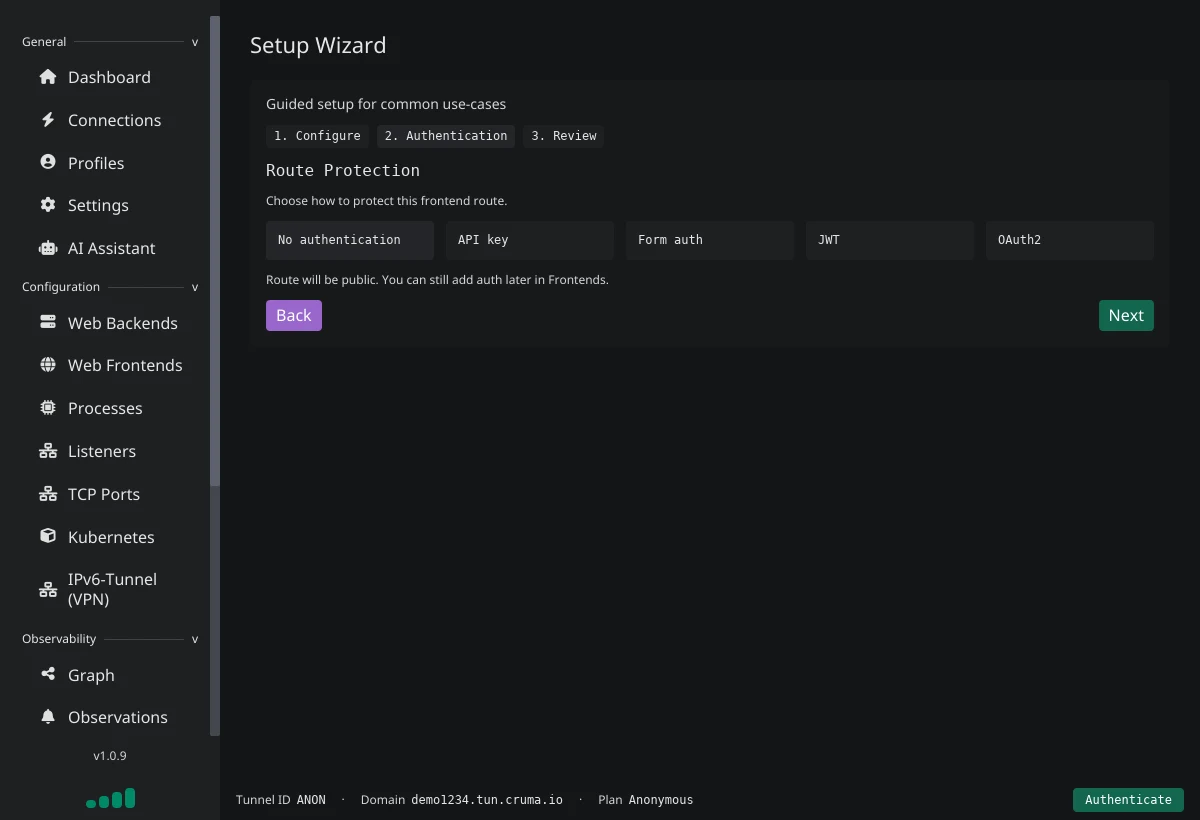 Setup Wizard, step 2 Authentication: choose No authentication, API key, Form auth, JWT or OAuth2