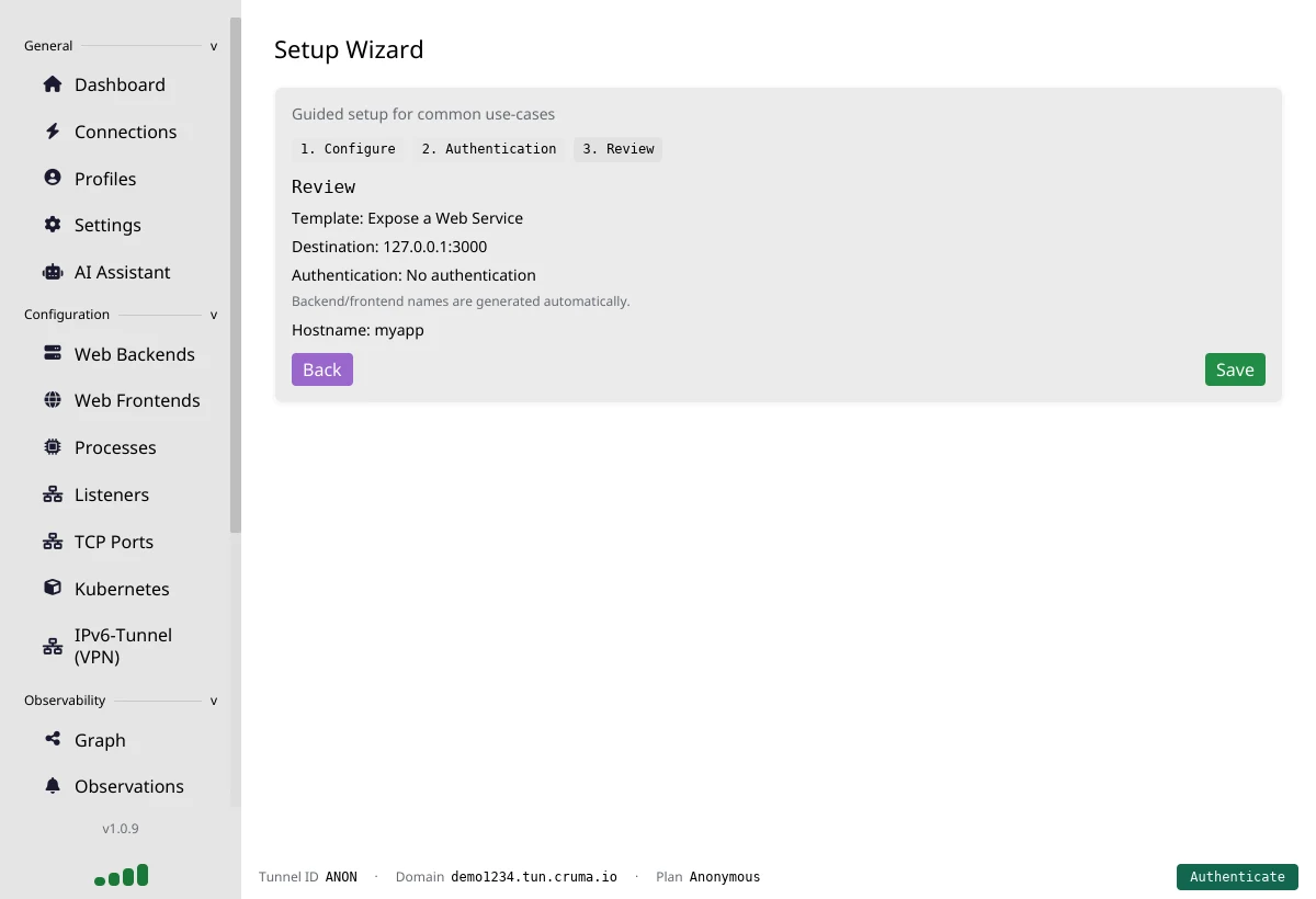 Setup Wizard, step 3 Review: template Expose a Web Service, destination 127.0.0.1:3000, no authentication, hostname myapp