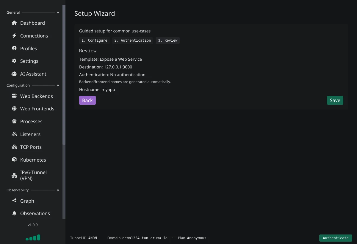 Setup Wizard, step 3 Review: template Expose a Web Service, destination 127.0.0.1:3000, no authentication, hostname myapp